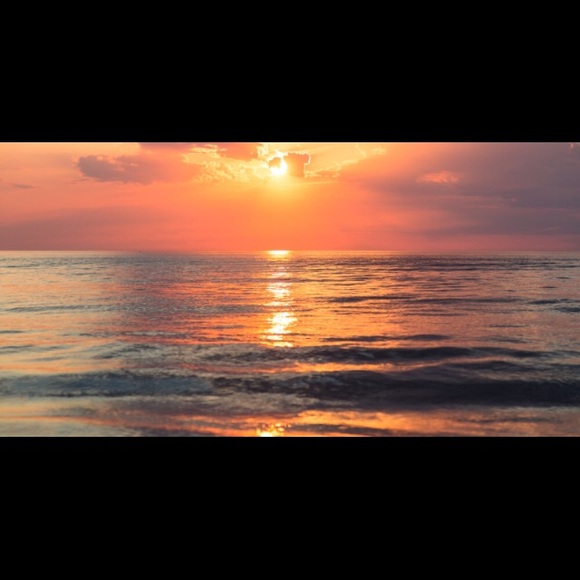 Meet your Posher, Casey - Picture 1 of 1